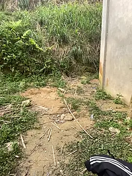 phuongxinhxan online show from 31, 3, 2026