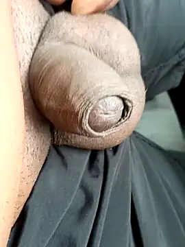 preto3561 online show from 28, 9, 2025