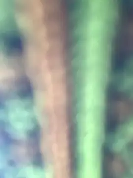 Halyy xx online show from 8, 1, 2026