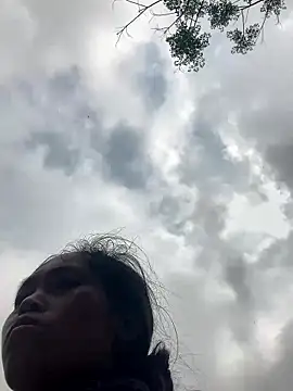 Halyy xx online show from 24, 3, 2026