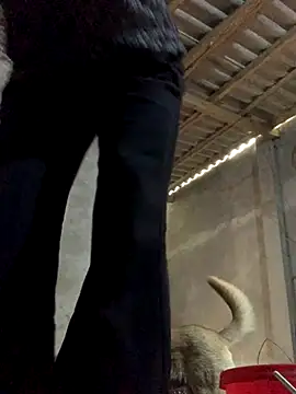 Halyy xx online show from 30, 10, 2025