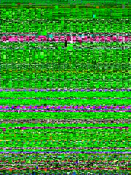 Halyy xx online show from 5, 11, 2025