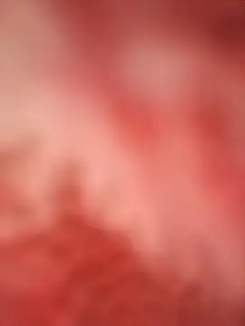 sayeaprayer65 online show from 9, 10, 2025