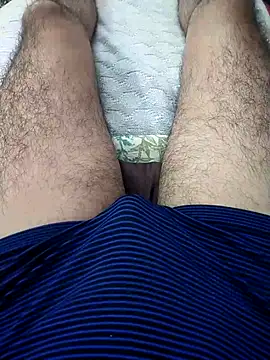 Mizo200 online show from 3, 11, 2025