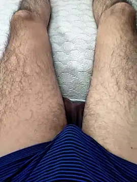 Mizo200 online show from 4, 11, 2025