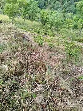 DICKLANKA online show from 23, 9, 2025