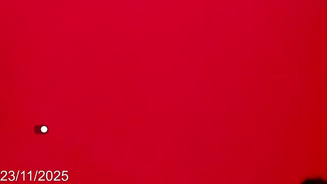 dahian fox7 online show from 23, 11, 2025