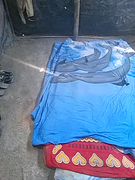 TNestorT online show from 26, 11, 2025