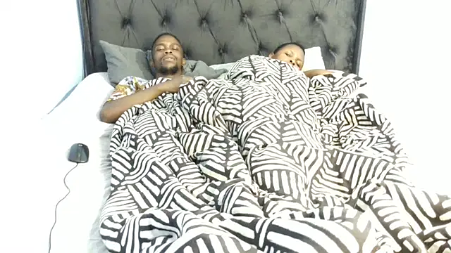 Dandelion enigman online show from 22, 11, 2025