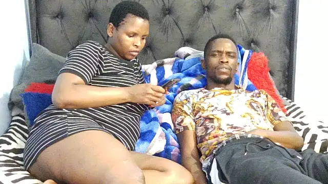 Dandelion enigman online show from 27, 11, 2025