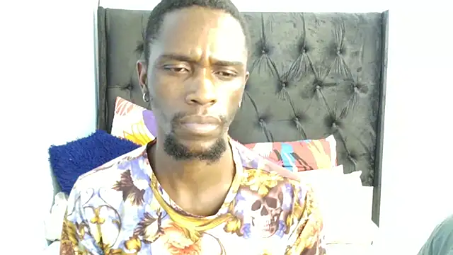 Dandelion enigman online show from 1, 11, 2025