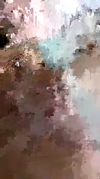 Adidas7217 online show from 6, 2, 2026