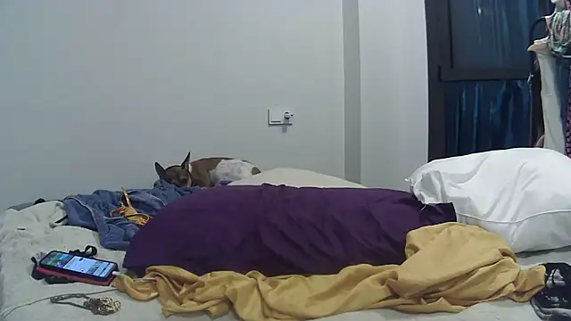 Catylandi1 online show from 26, 9, 2025