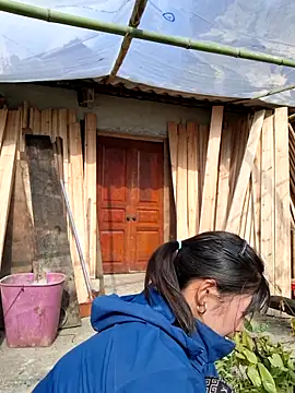 diamond-- online show from 14, 11, 2025