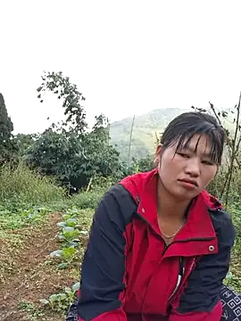 diamond-- online show from 15, 11, 2025