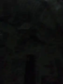 Snapshot of tiago1981pt chatting on 23, 9, 2025 tiago1981pt online show from 23, 9, 2025