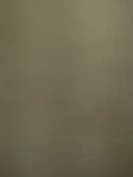 telugumodda4396 online show from 19, 12, 2025