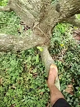 telugumodda4396 online show from 22, 9, 2025