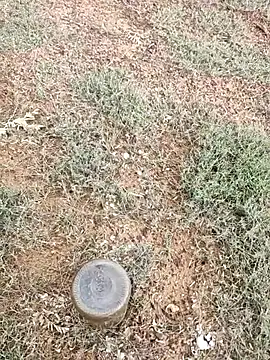 telugumodda4396 online show from 5, 10, 2025