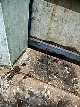 telugumodda4396 online show from 2, 10, 2025