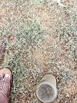 telugumodda4396 online show from 6, 10, 2025