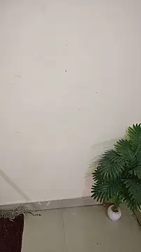 hotestfantasy online show from 8, 4, 2026