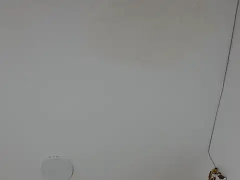 Alice pussyhairy online show from 2, 10, 2025