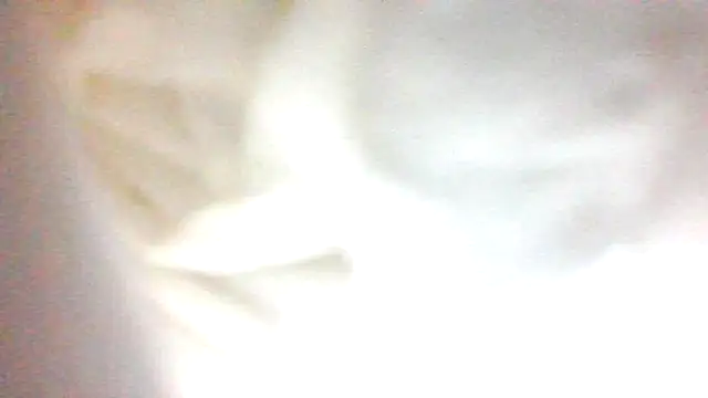 Argo1972 online show from 22, 10, 2025