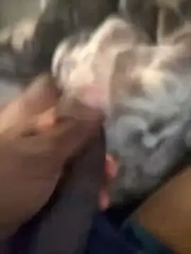 Snapshot of Blackveins32 chatting on 4, 11, 2025 Blackveins32 online show from 4, 11, 2025