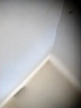  online show from 3, 10, 2025