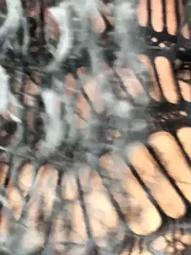 Fun size86 online show from 20, 12, 2025