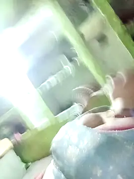 Haliya88 online show from 5, 11, 2025