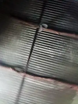 Haliya88 online show from 23, 9, 2025