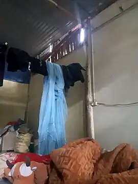 dorothyxx online show from 9, 11, 2025