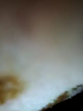 alone boy802 online show from 24, 11, 2025