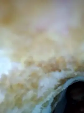 alone boy802 online show from 30, 10, 2025