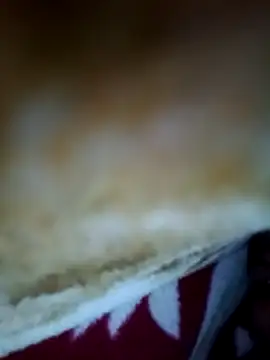 alone boy802 online show from 6, 11, 2025