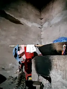 xuxulovezz online show from 12, 2, 2026