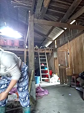 xuxulovezz online show from 2, 3, 2026