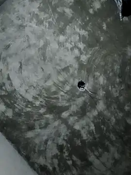 Rupali ji online show from 8, 11, 2025