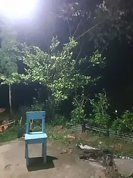 Helen-Tran online show from 11, 11, 2025