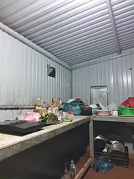 Helen-Tran online show from 28, 11, 2025