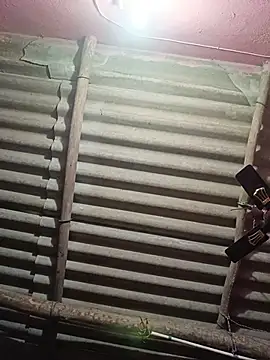 Snapshot of reya743 chatting on 15, 11, 2025 reya743 online show from 15, 11, 2025