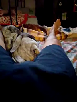 SALCEDO 041198 online show from 9, 11, 2025