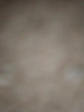 SALCEDO 041198 online show from 5, 11, 2025