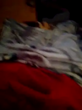 SALCEDO 041198 online show from 14, 11, 2025