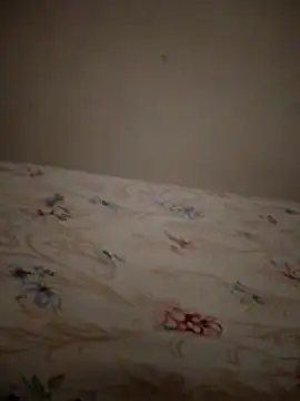 SALCEDO 041198 online show from 20, 11, 2025