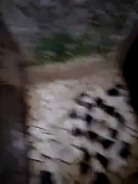 SALCEDO 041198 online show from 25, 11, 2025