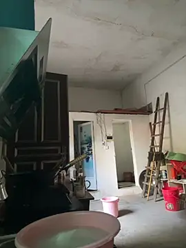 aoyo66 online show from 16, 10, 2025