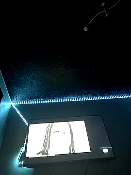 Painstickwes online show from 5, 2, 2026